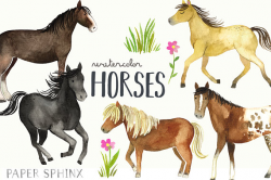 Watercolor Horses Clipart Horse and Pony Breeds Shetland