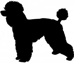 Poodle With Leash Silhouette Clipart - Clipart Kid | Dog Grooming ...