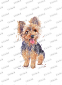 Dog clipart yorkie clipart instant download. Digital watercolor clip ...
