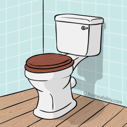 Accessible Toilets & Toilet Equipment: The Basics | homeability.com