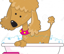 Great Accessories Walk In Dog Baths Then Dog Bath Tub Uk To Floor ...