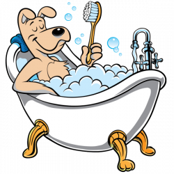 Funny Animal Images Of Animals Having A Bath. All Pictures Are PNG ...