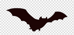 Bat icon, Bat Animation Cartoon , bat transparent background ...