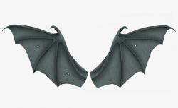 Bat Wings, Wing, Gray, Terror PNG and PSD File for Free Download