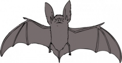 Creative Idea Bats Clipart Halloween Bat Images Clip Art - cilpart