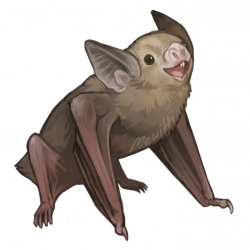 103 best Bats images on Pinterest | Bats, Cartoon bat and Halloween art