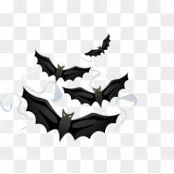 A Group Of Bats PNG Images | Vectors and PSD Files | Free Download ...