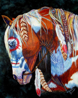 389 best Indian War Horse images on Pinterest | Horse paintings ...