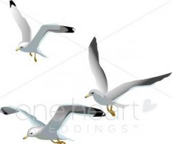Seagulls Clipart | Beach Wedding Clipart