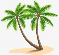 Island Beach Coconut Trees, The Island, Beach, Coconut Trees PNG ...