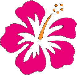 Hibiscus Flower Clipart - Clipart Kid | Appliqué flowers hawaiian ...