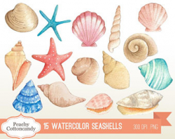 Seashell clipart | Etsy