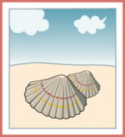 Free SeaShells Clipart - Clip Art Pictures - Graphics - Illustrations
