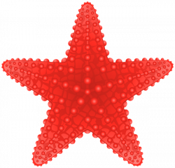 Starfish Transparent PNG Clip Art Image | beach clipart | Pinterest ...