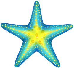Blue Starfish PNG Clip Art | SEA ANIMALS CLIP ART | Pinterest ...