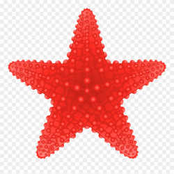 Starfish Transparent Png Clip Art Image Beach Clipart ...