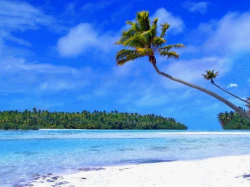 Tropical Island Beach Clipart HD Wallpaper, Background Images