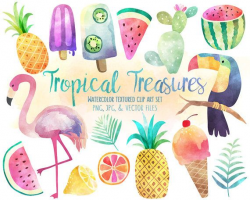 Tropical Clip Art - Watercolor Summer Clipart Set, Vector Clipart ...