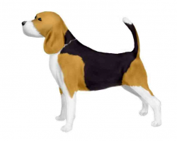 Beagle Silhouette Clip Art | animalsee.club
