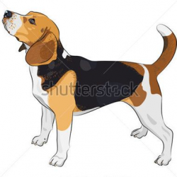 Beagle Hunting Cliparts Free Download Clip Art - carwad.net