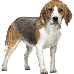 Beagle puppy clipart - Cliparts Suggest | Cliparts & Vectors