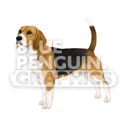 Beagle Dog version 1 Vector Cartoon Clipart Illustration