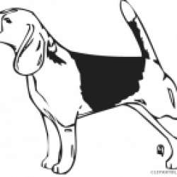 Dog Jumping Animal free black white clipart images clipartblack ...