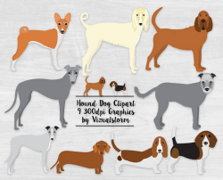Hound Dog Clipart Hunting Dog Breeds Bloodhound Basset Greyhound ...
