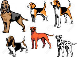 Bloodhound clipart beagle - Pencil and in color bloodhound clipart ...