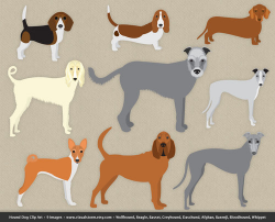 Dog Clip Art, Hound Dogs, bloodhound, bassett hound, greyhound ...