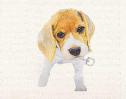 Beagle watercolor | Etsy