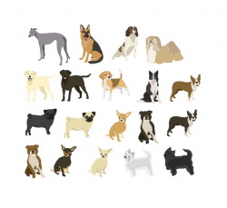 Dogs clip art: Pug Chihuahua Staffie Boston Terrier