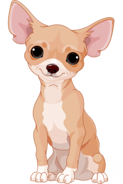 Sweet Chihuahua | Chihuahua | Pinterest | Chihuahua art and Dog