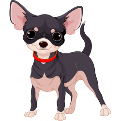 Cute Chihuahua | Dog, Animal and Chihuahua art