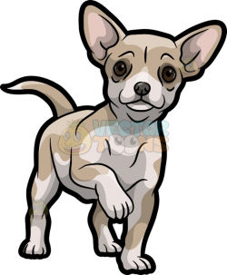 A Cute And Adorable Chihuahua | Light beige and Dog