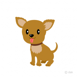 Cute Brown Chihuahua Dog Clipart Free Picture｜Illustoon