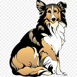 Dog Puppy Pet Clip art - Border Collie Clipart png download - 677 ...