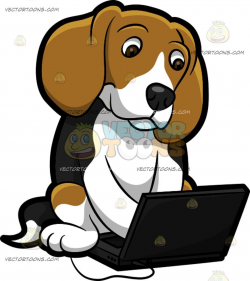 A Beagle Using The Laptop | Beagle