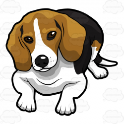 Beagle clipart face - Pencil and in color beagle clipart face