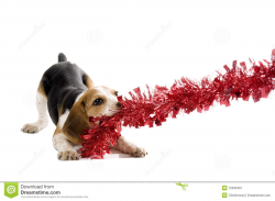 Beagle clipart christmas - Pencil and in color beagle clipart christmas