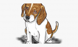 Beagle-harrier #2108794 - Free Cliparts on ClipartWiki