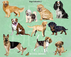 Dogs Set 2 Digital Realistic Clip Art, PNG, Printable, Sharpei ...