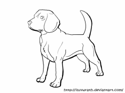 Beagle Dog Drawing at GetDrawings.com | Free for personal use Beagle ...