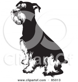 Royalty-Free (RF) Clipart of Schnauzers, Illustrations, Vector ...
