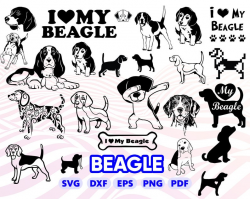 BEAGLE SVG, dog svg, i love beagle, bigl svg, puppy svg, beagle clipart,  decal, stencil, silhouette, png, iron on, vector, design, dxf, eps