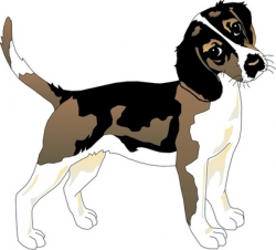 Beagle pup free vector download (11 Free vector) for commercial use ...