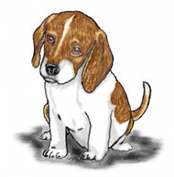Beagle puppy clipart - Cliparts Suggest | Cliparts & Vectors