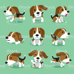 Cartoon character beagle dog poses for design. | Beagle, Beagle dog ...
