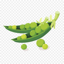 Free Bean Clipart bataw, Download Free Clip Art on Owips.com