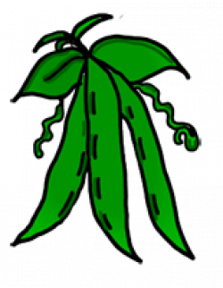 Green Vegetables Pictures | Clipart Panda - Free Clipart Images